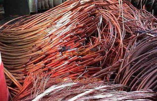 阿克苏电线电缆回收 河北专业的电线电缆回收哪家提供